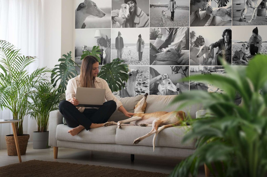 Tapeta mazlíčků, černobílá, velké obrázky s mezerami - tiskněte se